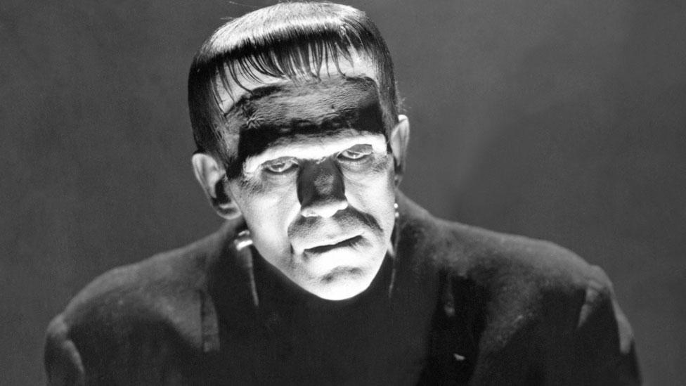 The Story of Frankenstein