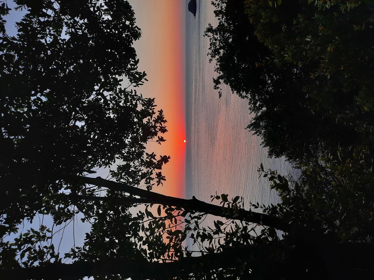 Amasra'da Kamp Nerede Yapılır?