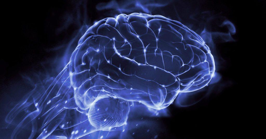 AI Can Visualize What You See From Brain Scans