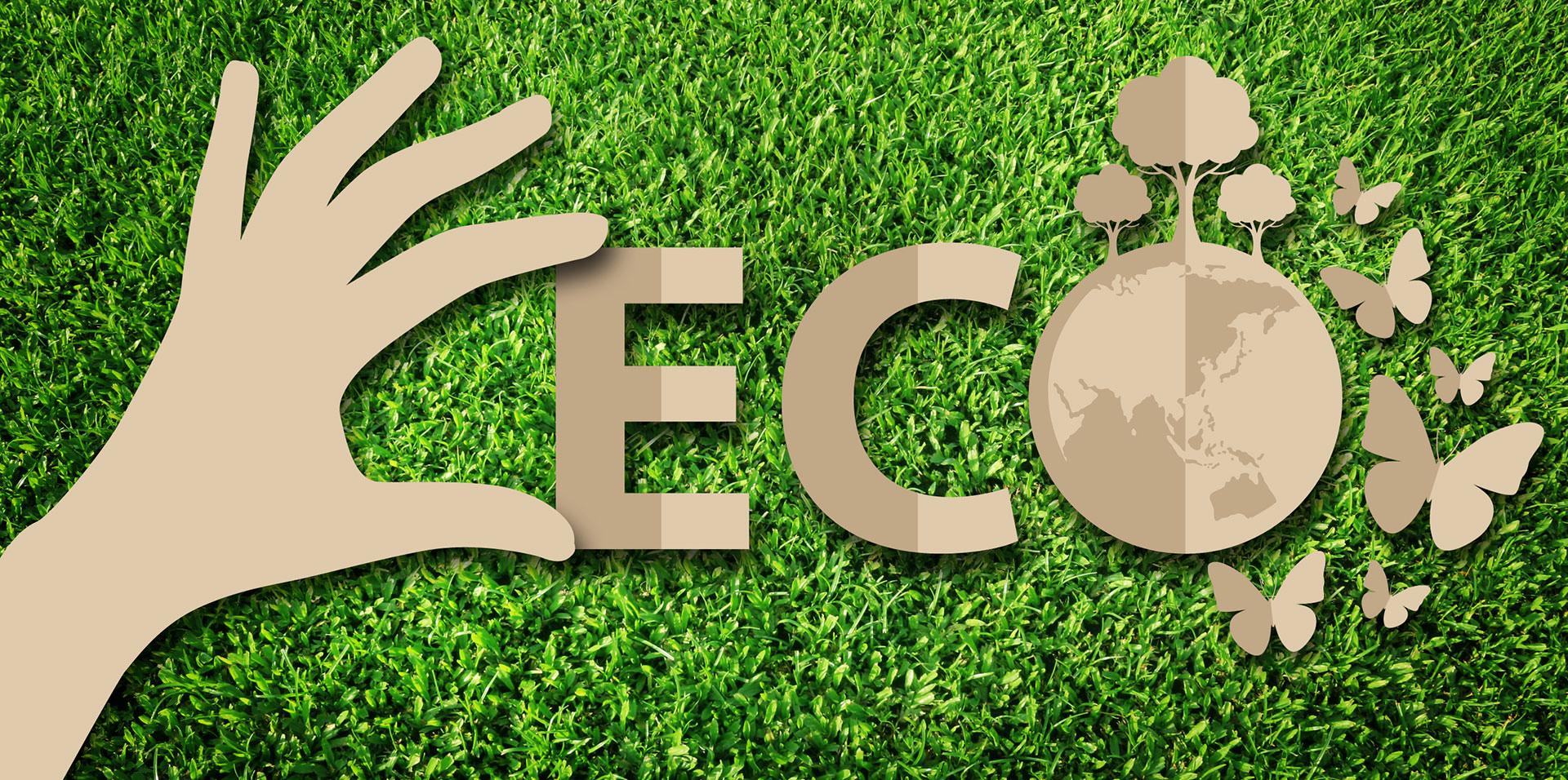 Çevre Dostu Tüketimin Anahtarı: Eko Etiketler