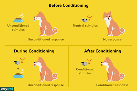 Pavlov's Classical Conditioning
