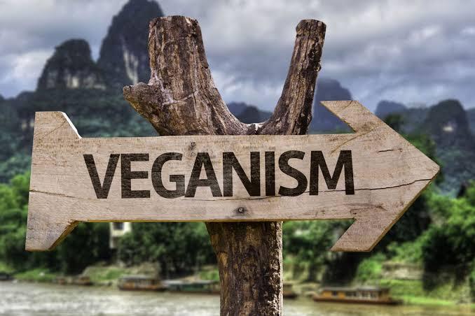 Nedir? Ne Değildir? : Veganlık