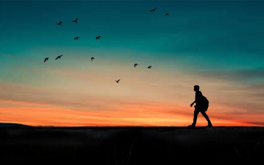 Hayatın Anlamı Üzerine