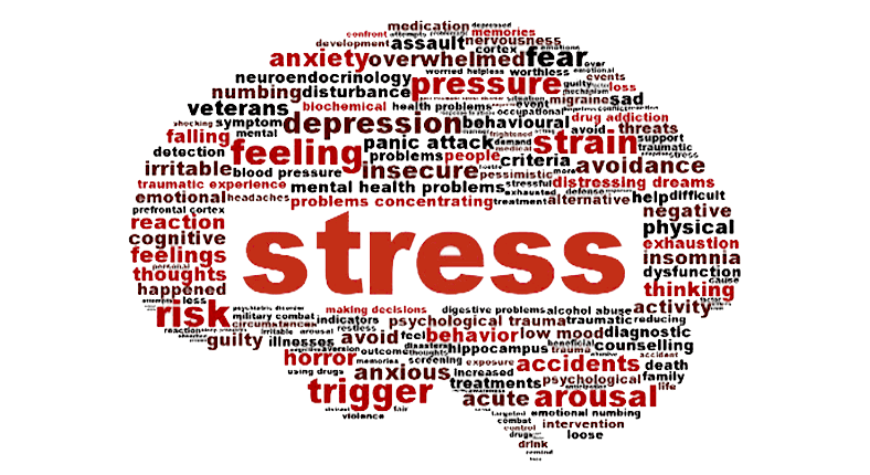 Main Causes of Stress