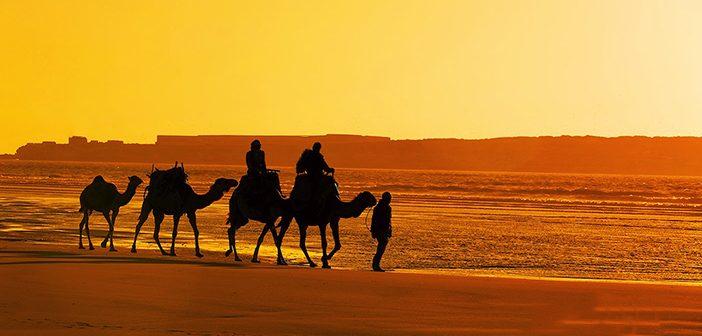 Hz.Musa ve Hızır'ın Yolculuğu