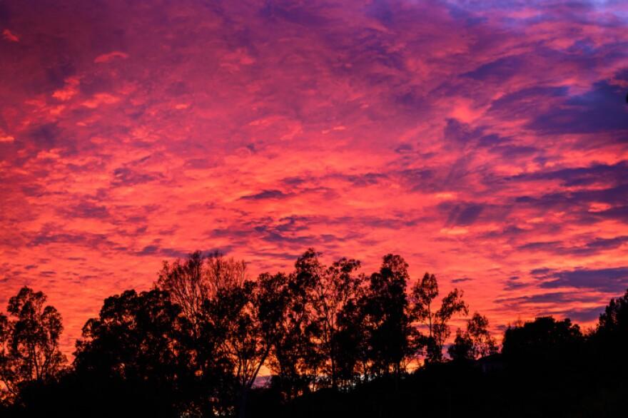 Göğe bakalım, hep birlikte