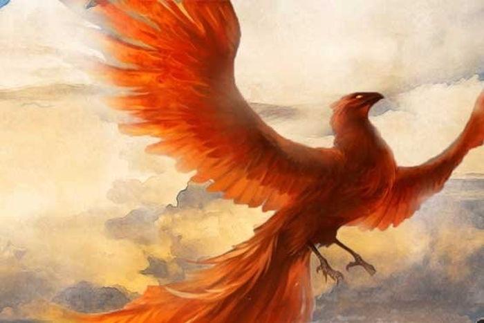 Kendin Olma Meselesi