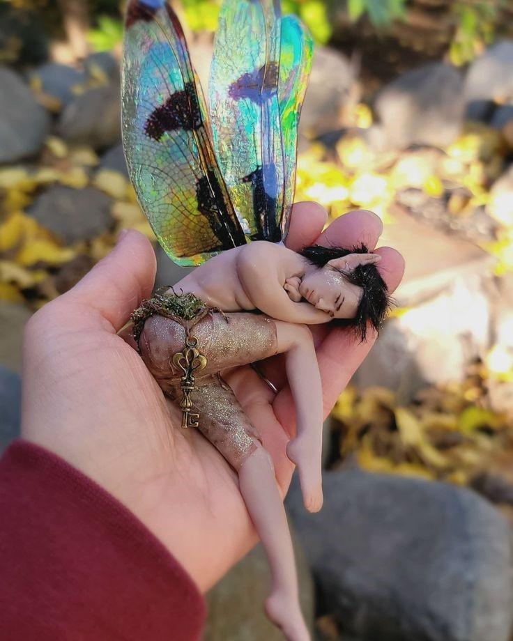 Terk Edilmiş Bir Hipotezin Anatomisi: Sucul Maymun Hipotezi