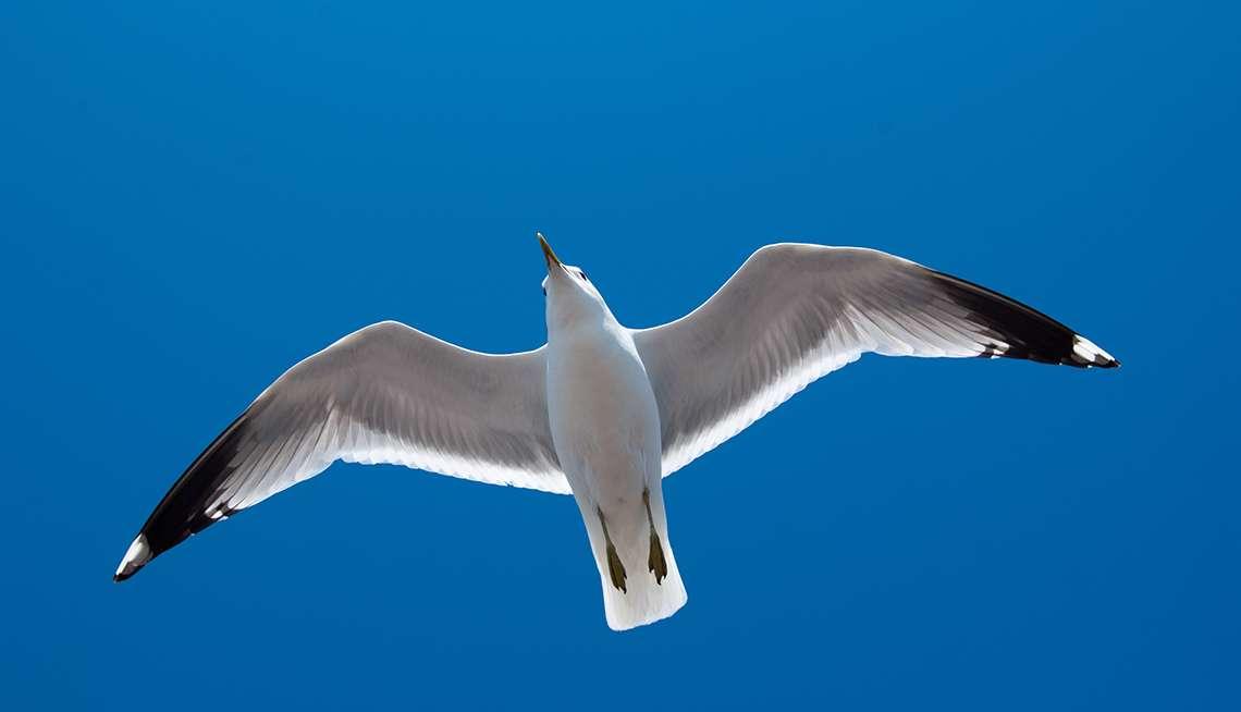 "Gerçek keşif, bilinmeyene değil, tanıdık olanı yeni bir gözle görmektir."