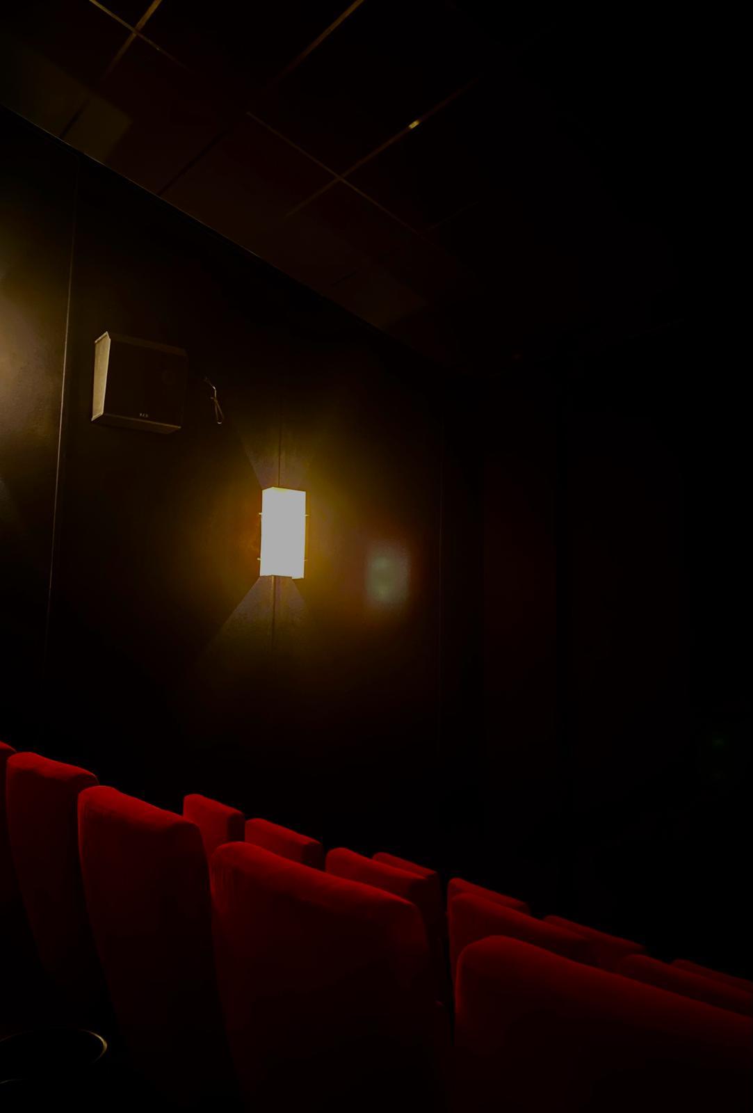 The Face of the Jellyfish