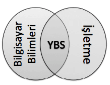 Biraz Yönetim Bilişim Sistemleri Hakkında Konuşalım