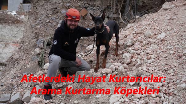 Afetlerdeki Hayat Kurtarıcılar: Arama Kurtarma Köpekleri