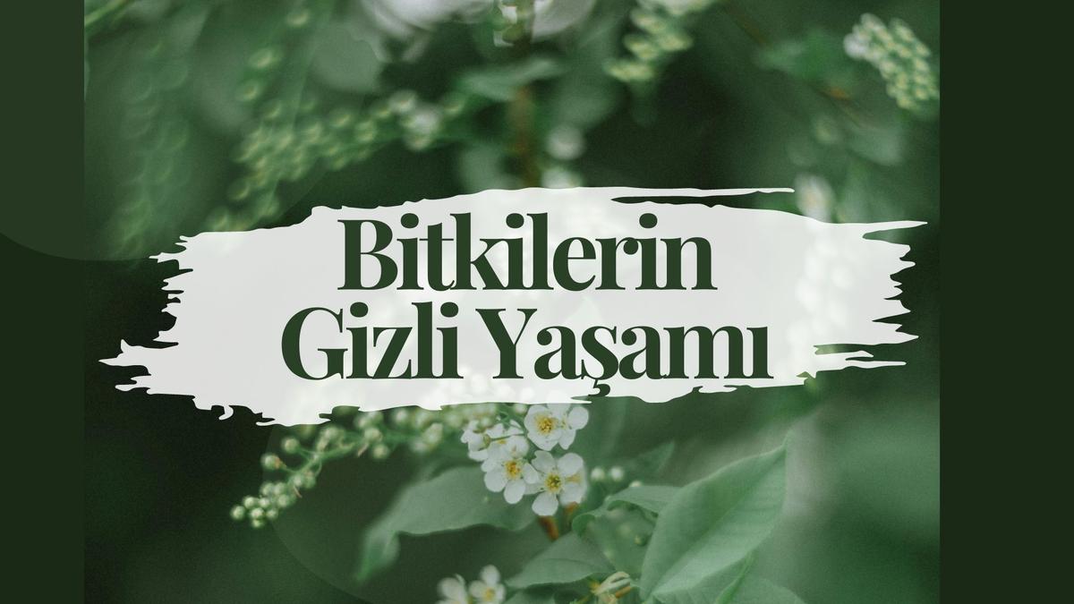 Bitkilerin Gizli Yaşamı