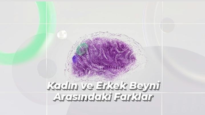Beyin ve Cinsiyet: Kadın ve Erkek Zihni Arasındaki Farklılıklar