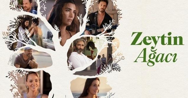 'Zeytin Ağacı' İncelemesi