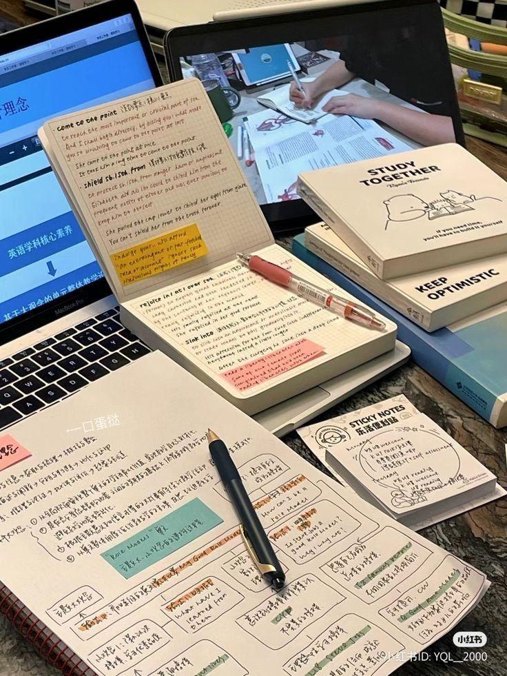 Düzen Delileri Buraya