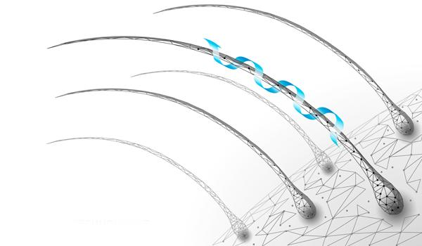 Saç Büyüme Döngüsü Nasıl İşler?
