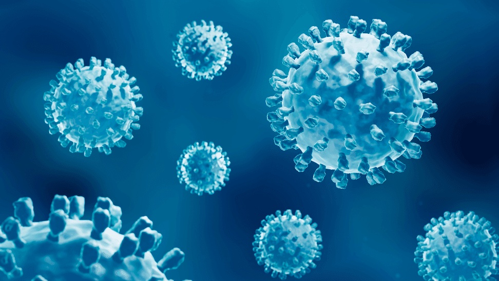 Yeni Bir Pandemi Mi Geliyor? Maymun Çiçeği (MPOX) Virüsü Pandemiye Dönüşür Mü?