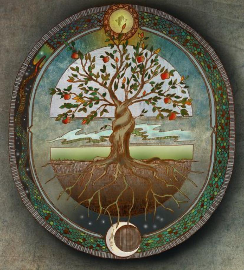 Hayat Ağacı sembolünün anlamlarına bakış