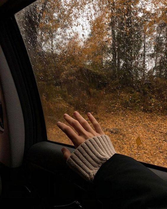 Sonbaharın Huzurla Dönüşü