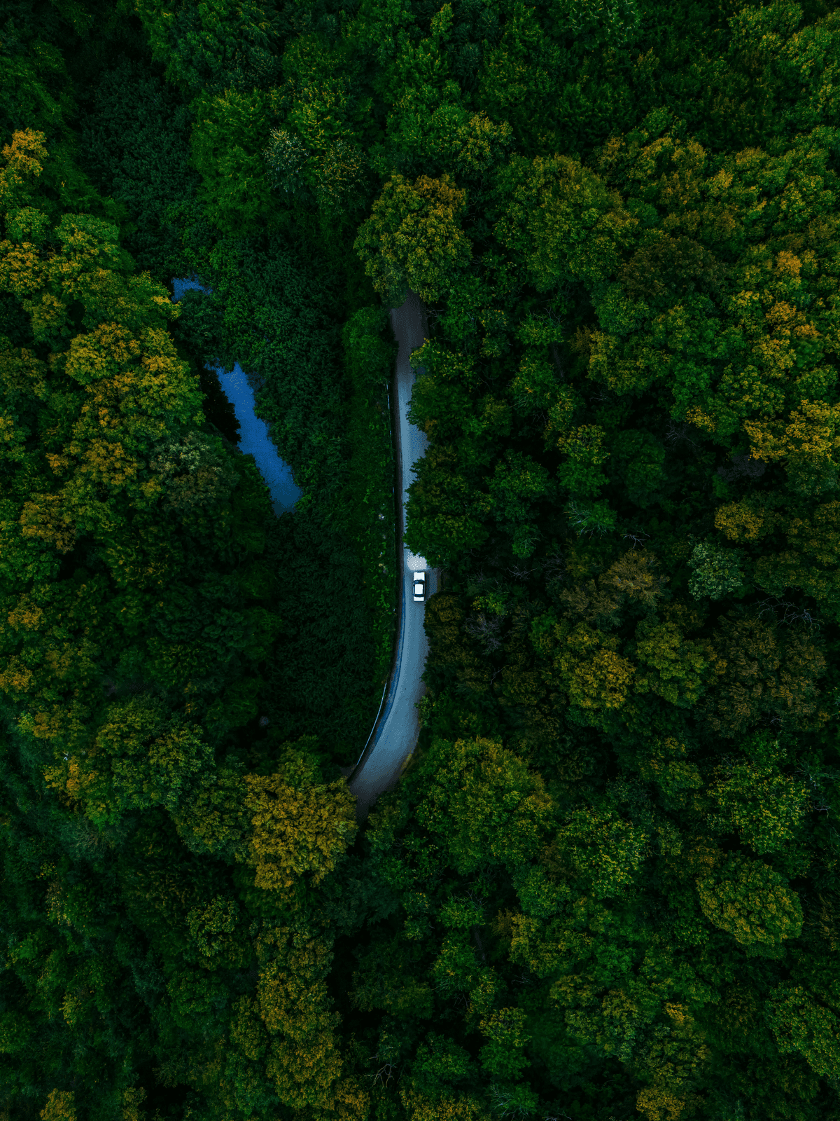 A Good Man Is Hard To Find: A Tale Of Southern Gothic