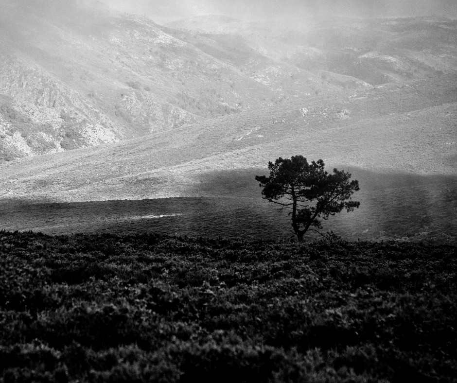 Melankoliye Bağımlı Toplum: Türkiye