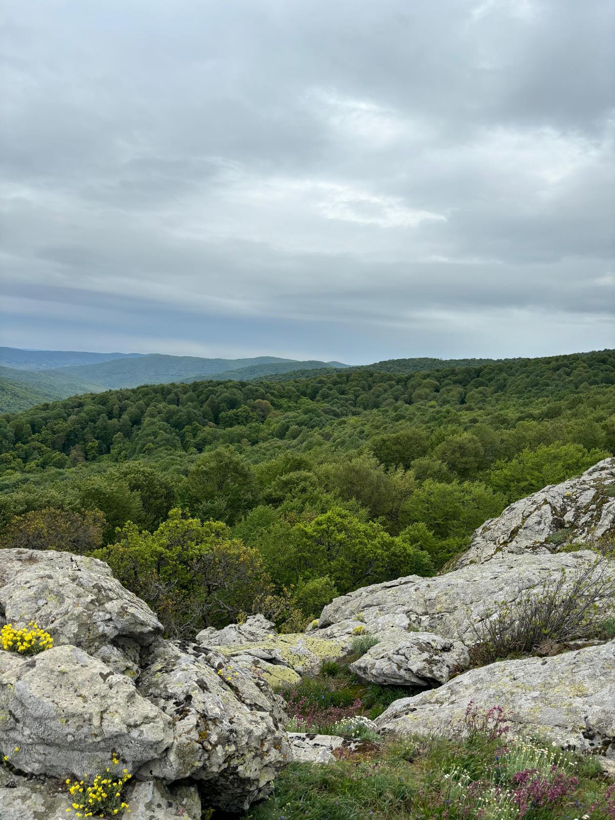 Fatma Kaya Tepesi ve Hikâyesi