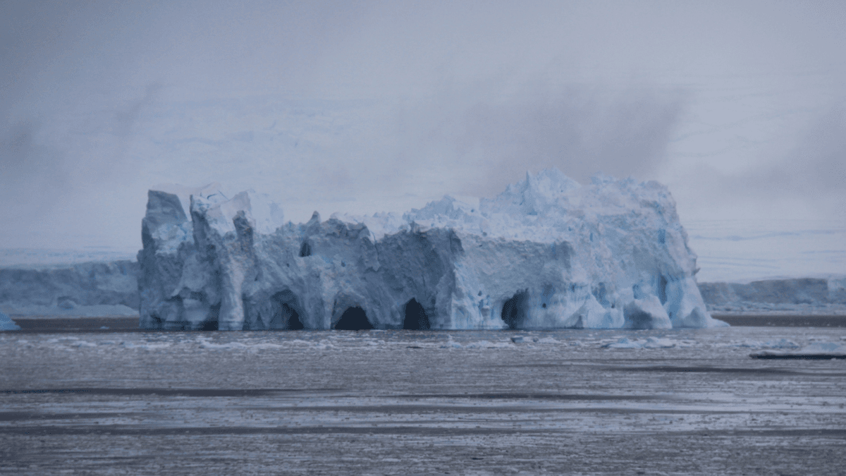 Murphy Kanunu: Talihsizliğin Doğası