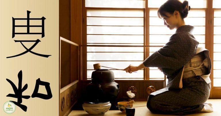 Japonların 5S Metodu