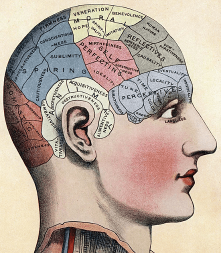 Bir Sahte Bilim: Frenoloji