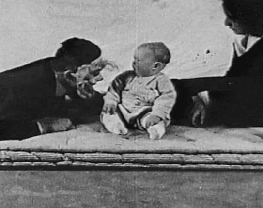 Conditioning Emotions: The Little Albert Study