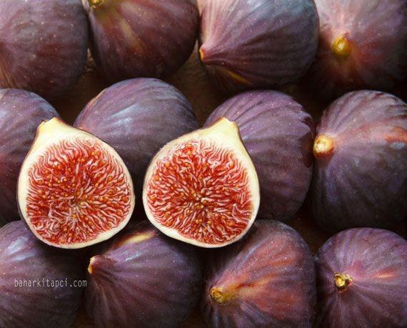 İncir: Mitolojiden Günümüze Bereketin ve Bilgeliğin Sembolü