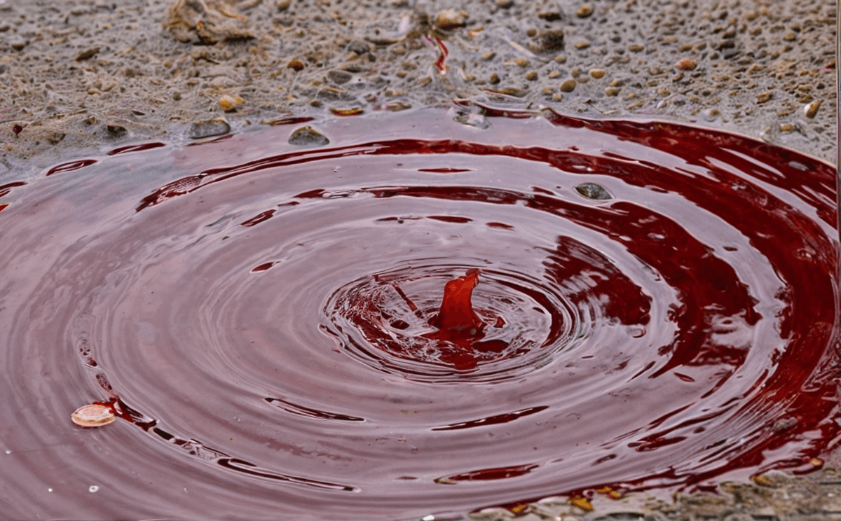 Gizemli Kırmızı Yağmur: Bilimin Açıklayamadığı Doğa Olayı