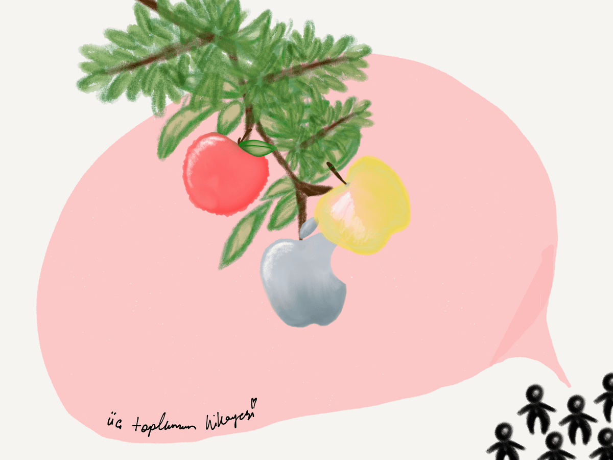 Üç Toplumun Hikayesi