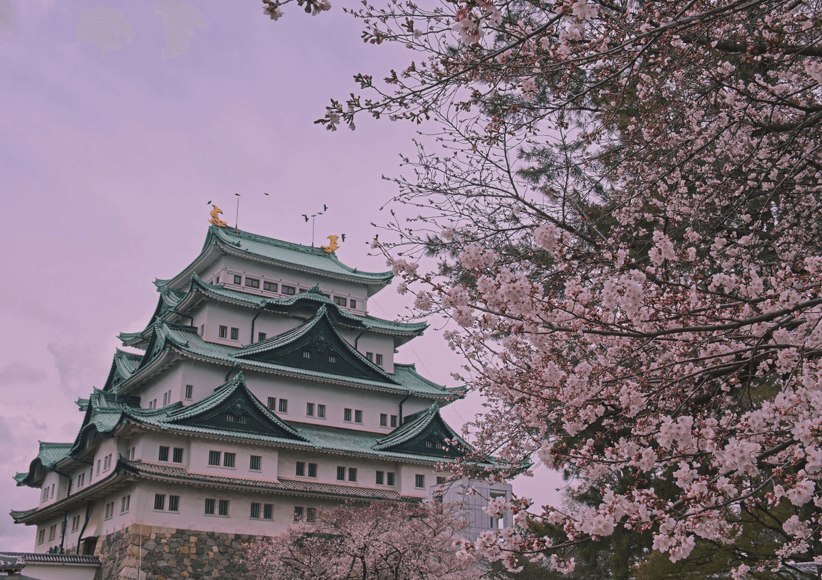 Güneş Ülkesi: Japonya