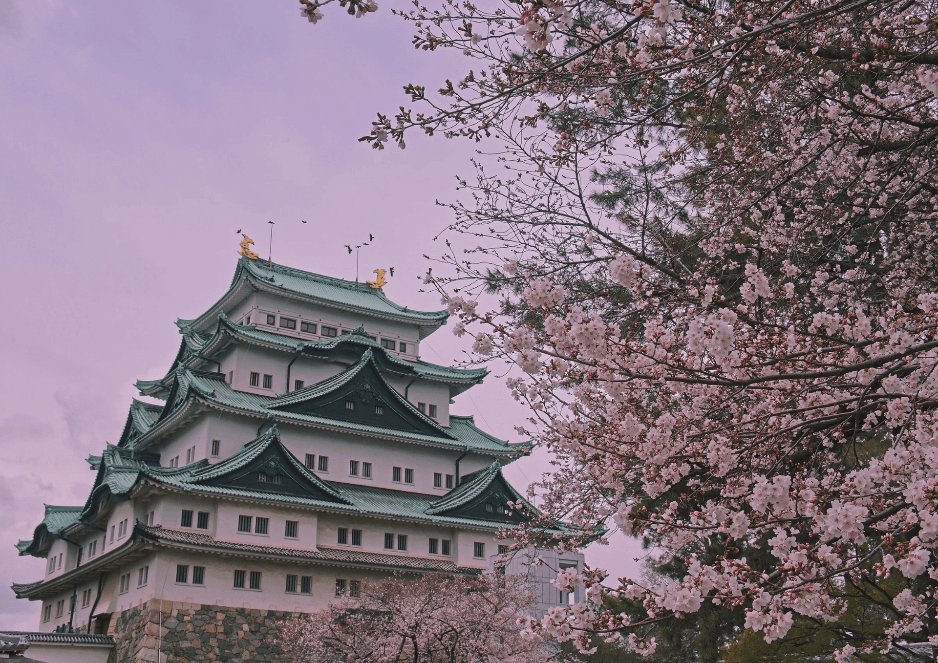 Güneş Ülkesi: Japonya