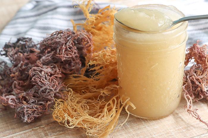 Is sea moss worth the hype?