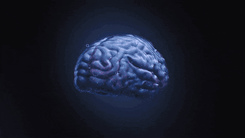 En İyi Yapay Zeka 5 Film Önerisi