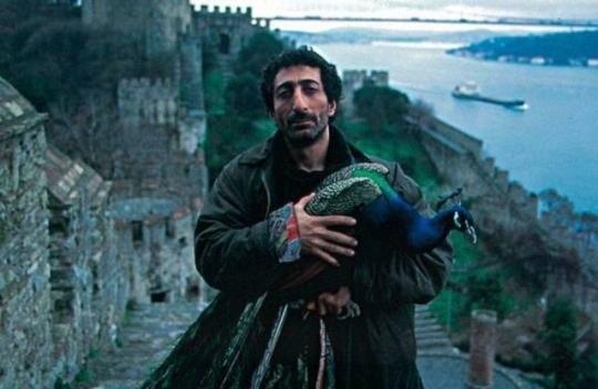 Tabutta Rövaşata'ya Bir Başka Bakış