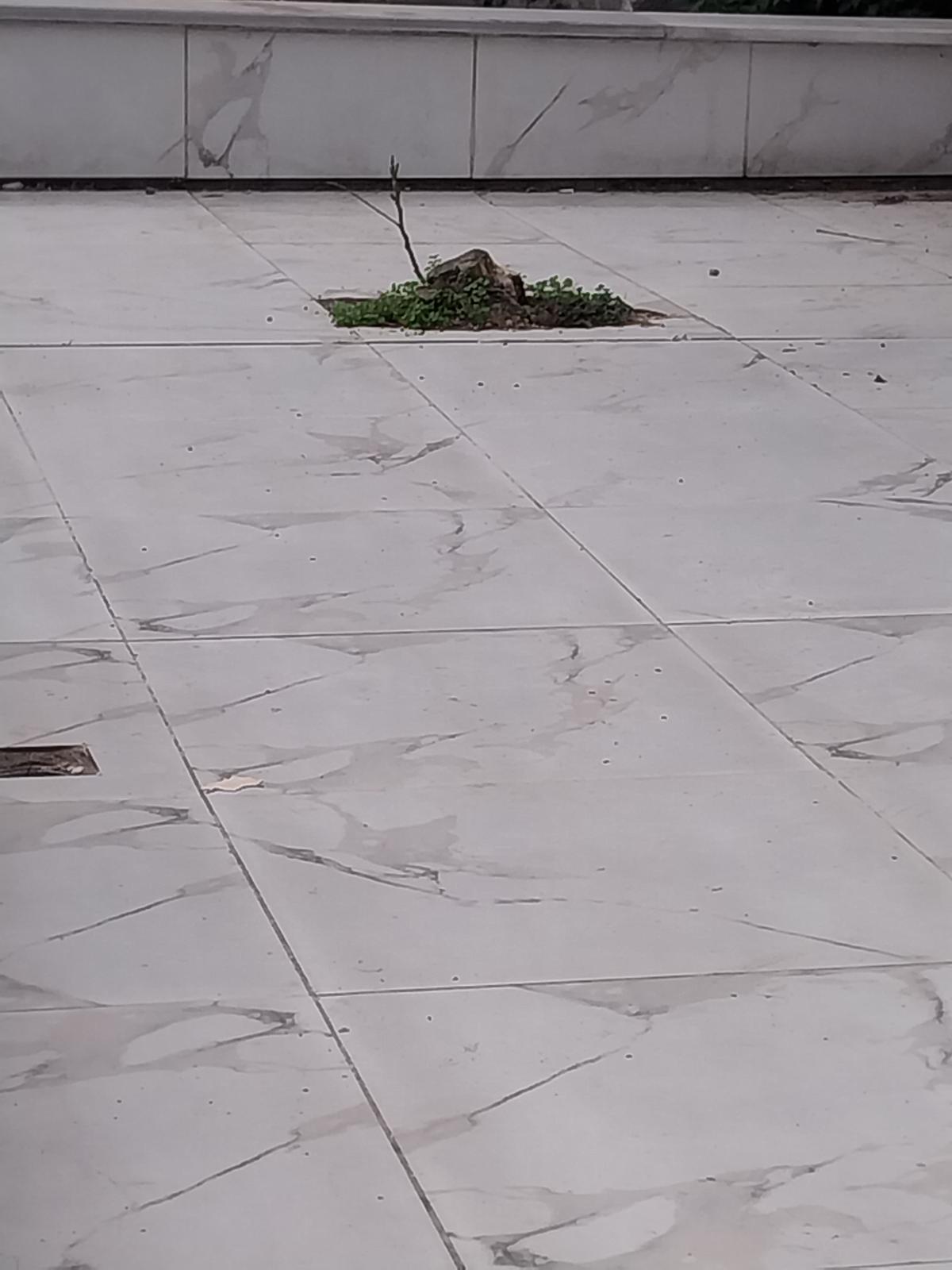 "Sınırlanmışlık İçinde Özgürlük Arayışı"