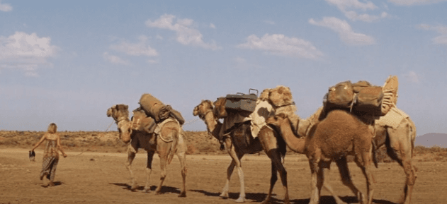 Çöldeki İzler ile Geçmişin İzlerine Doğru