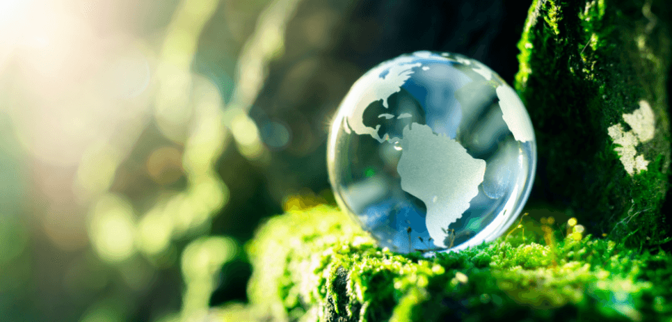 Sürdürülebilirliğin Tüketim Boyutu