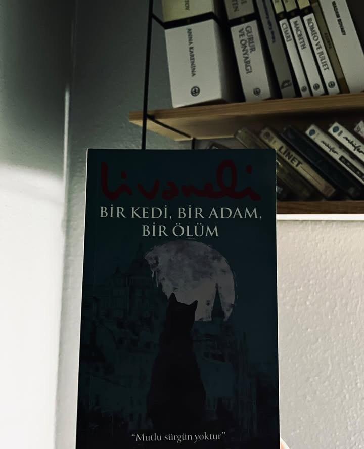 Bir Kedi, Bir Adam, Bir Ölüm
