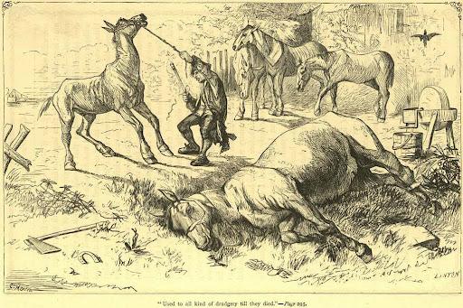 A Voyage to the Country of the Houyhnhnms