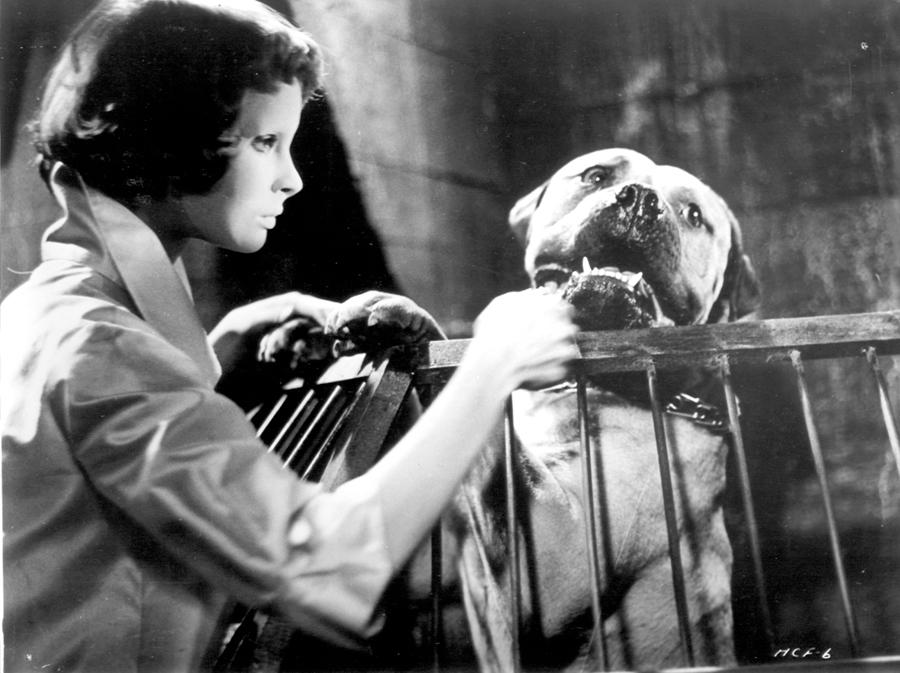 Eyes Without a Face (1960)