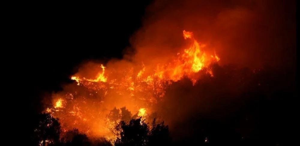 Amerika'da Ortaya Çıkan Orman Yangını