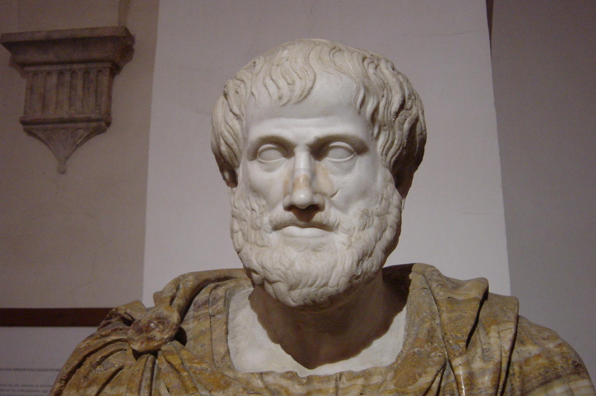 Aristotle's Tragedy Principles