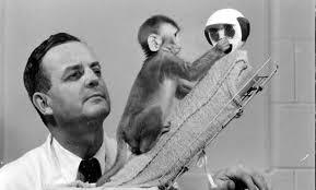 Bağlanma Kuramı ve Bağlanma Stilleri