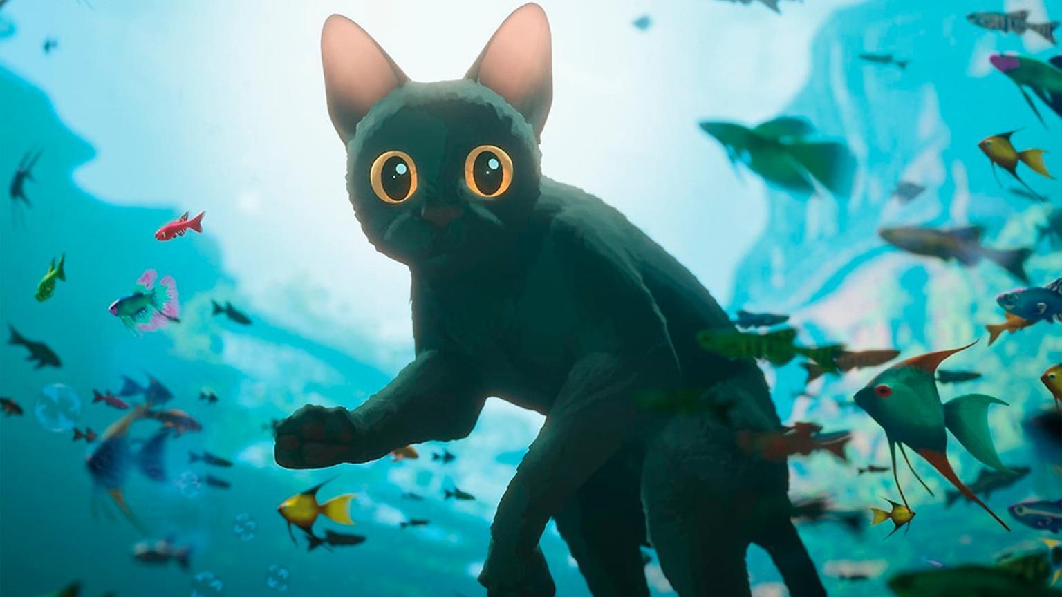 Sıfır Diyalog Seksen Beş Dakika Film