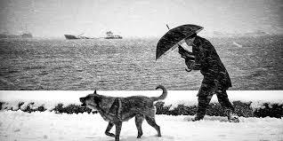 Zeytinburnu Eserine Bir Betimleme